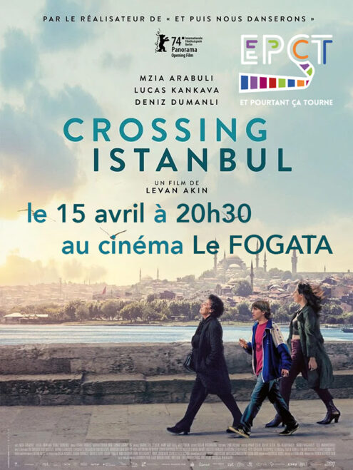 crossing istambul affiche film