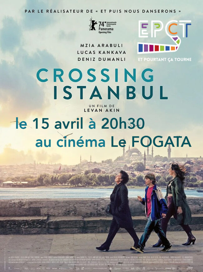 crossing istambul affiche film